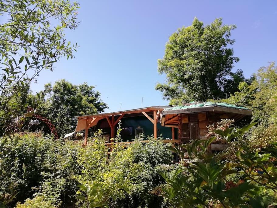 Truck & Pod Creative Nature Retreat. 반트리 외부 사진